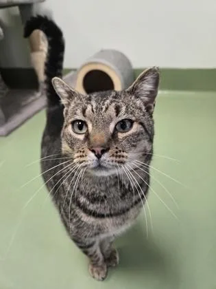 Sweet Eddie thumbnail 3