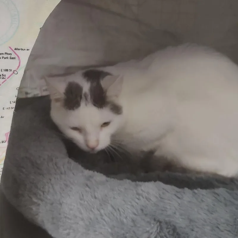 Mama Darcy thumbnail 4