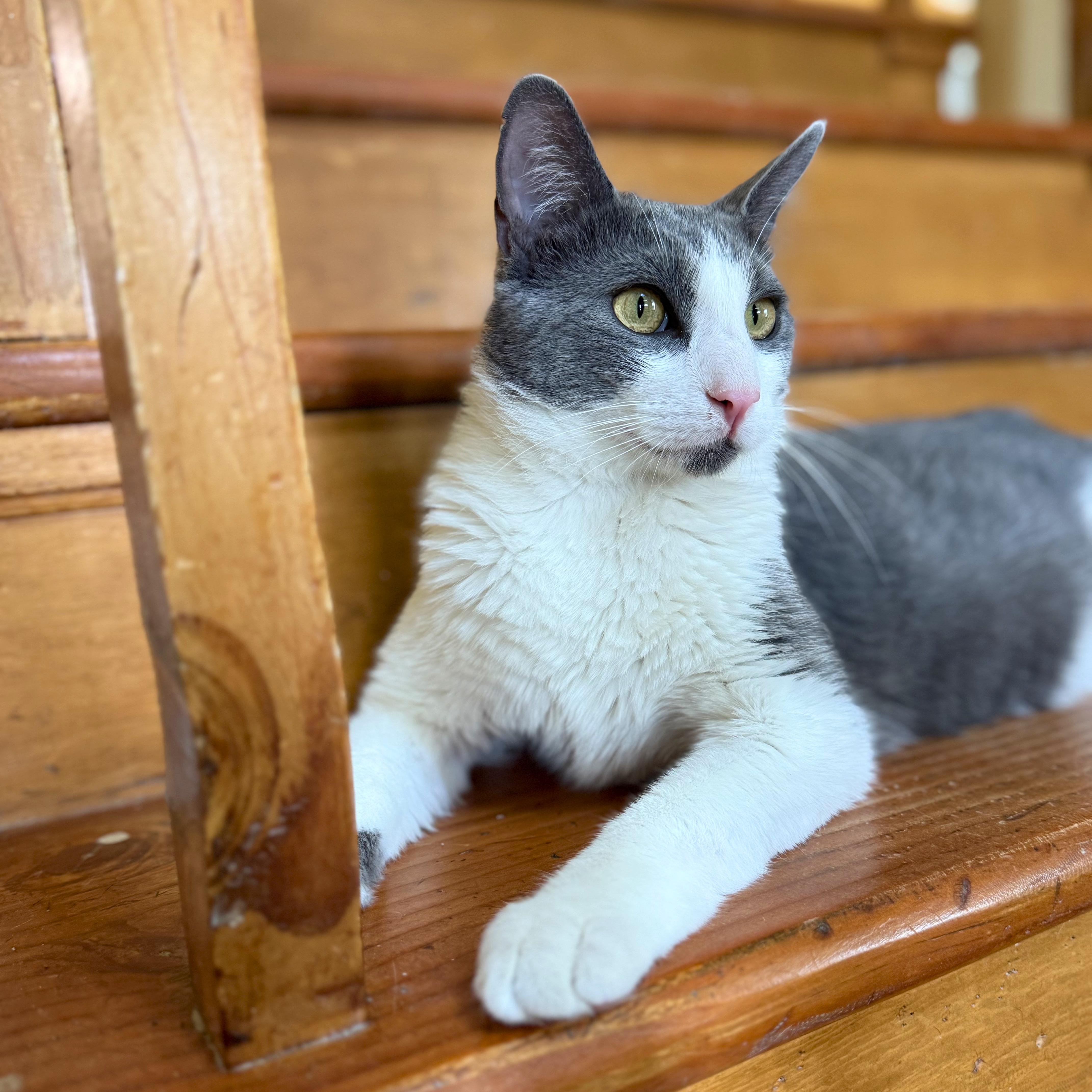 Stuart thumbnail 3
