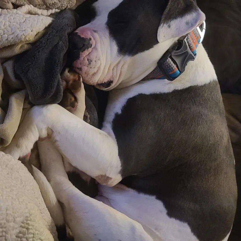 Princess thumbnail 2