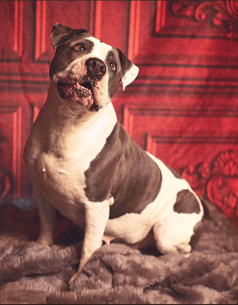 Princess thumbnail 3