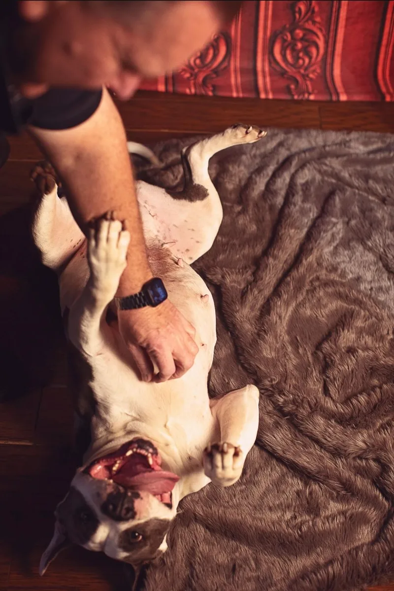 Princess thumbnail 4