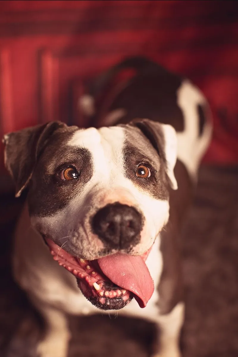 Princess thumbnail 5