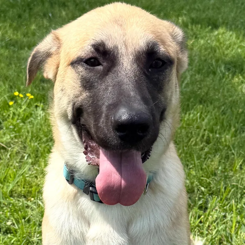 Serenity thumbnail 4