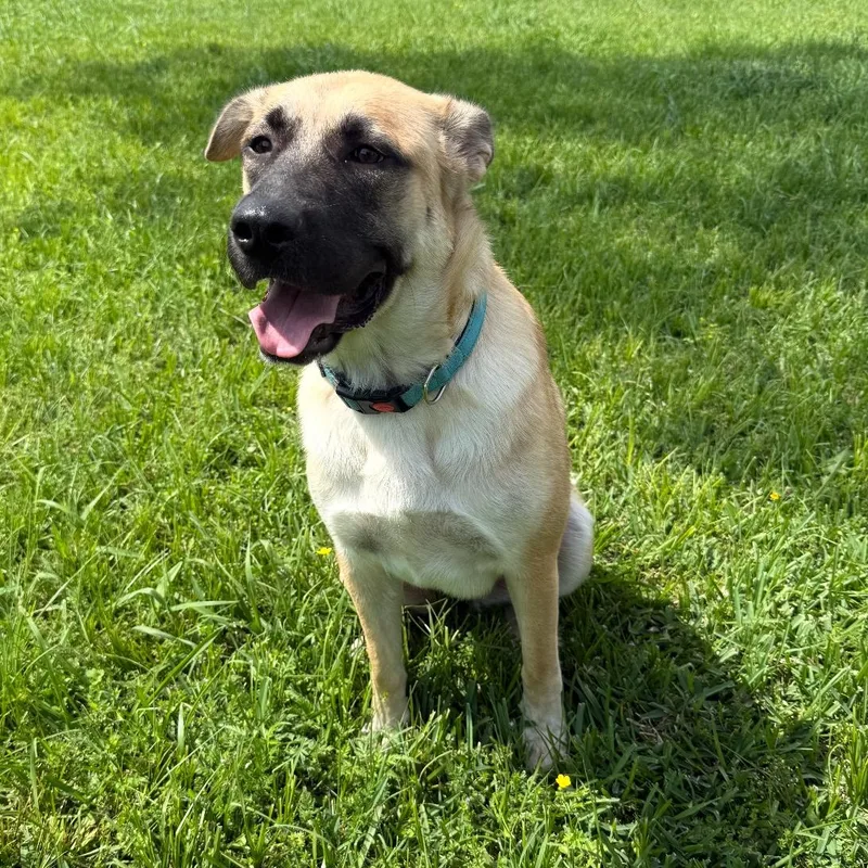 Serenity thumbnail 5