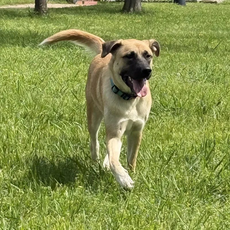 Serenity thumbnail 6