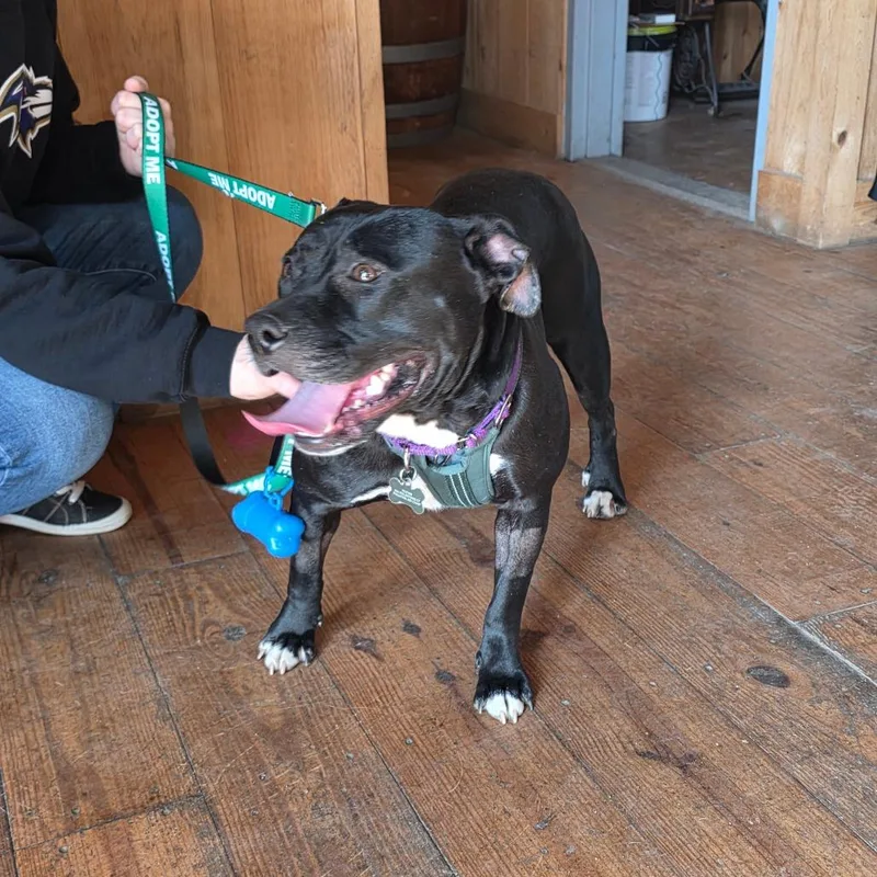 Martha May thumbnail 2