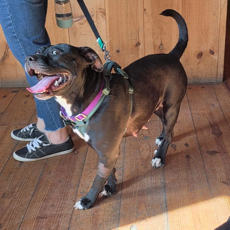 Martha May thumbnail 3