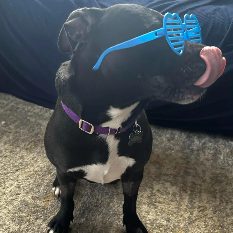 Martha May thumbnail 4