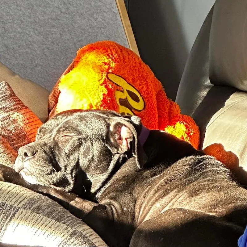 Martha May thumbnail 5