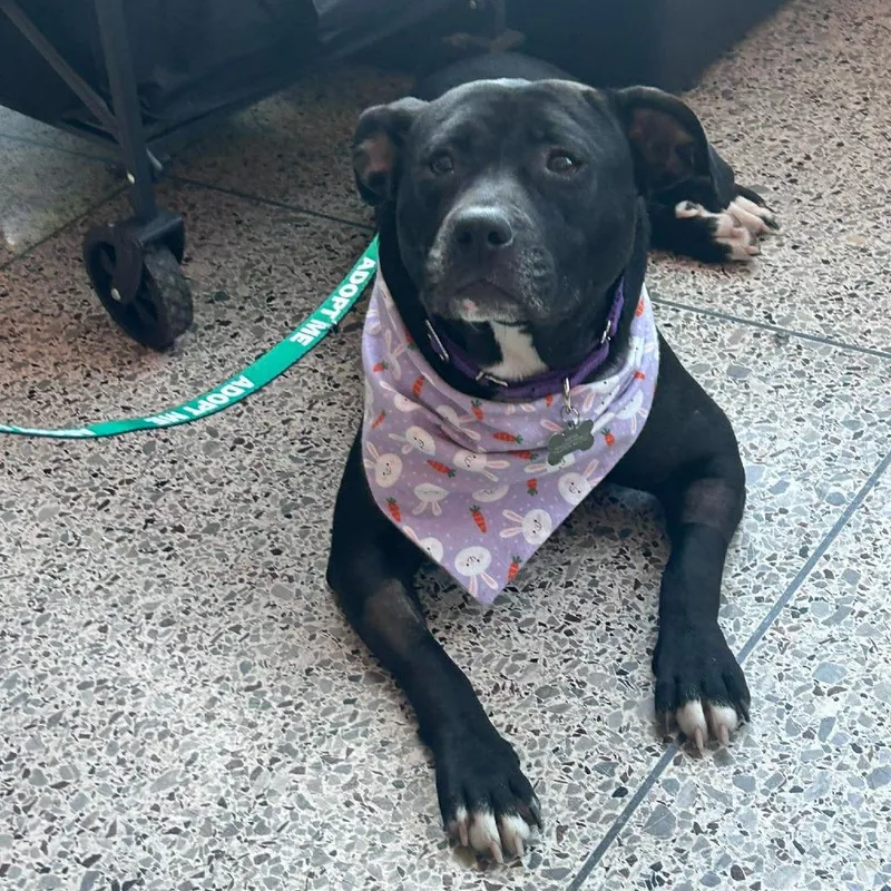 Martha May thumbnail 6