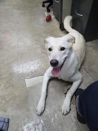 Party Girl thumbnail 2