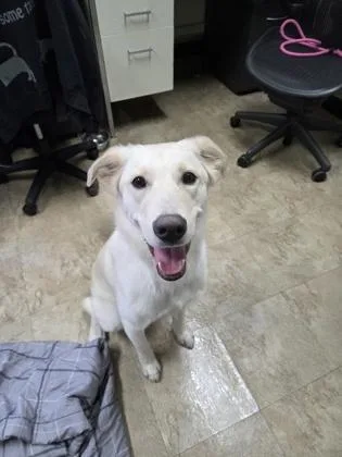 Party Girl thumbnail 3