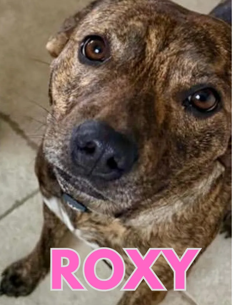 Roxy
