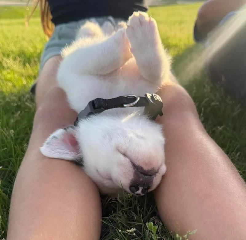 Harry Potter thumbnail 2