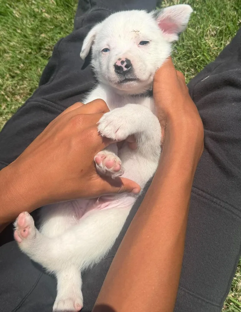 Harry Potter thumbnail 3