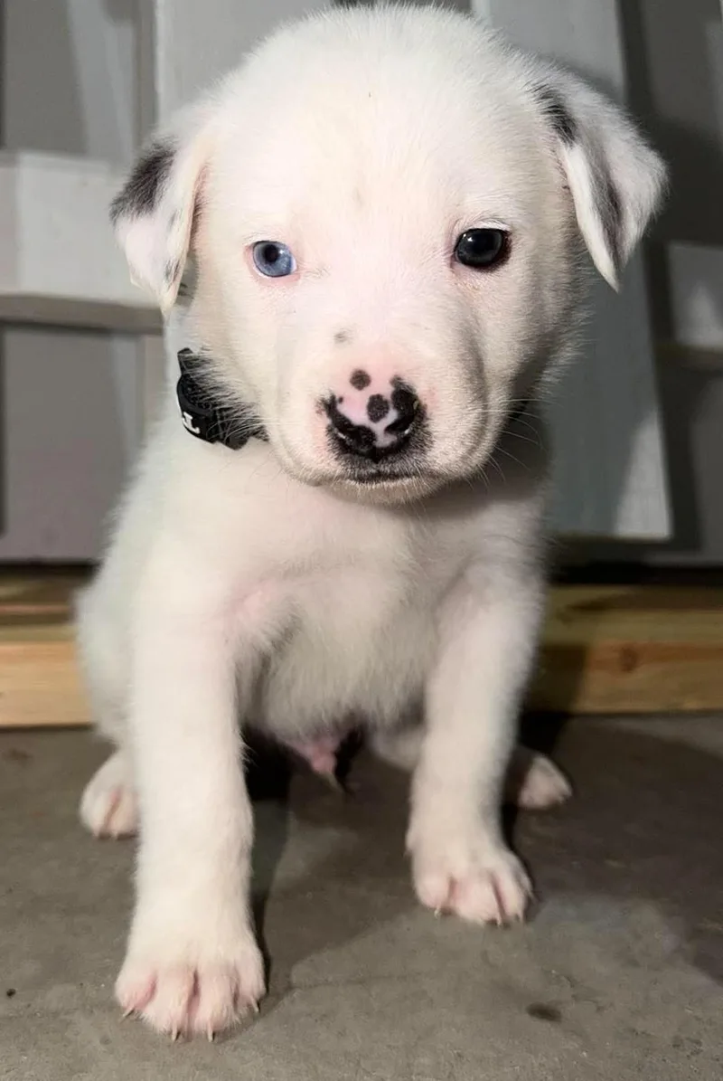 Harry Potter thumbnail 4