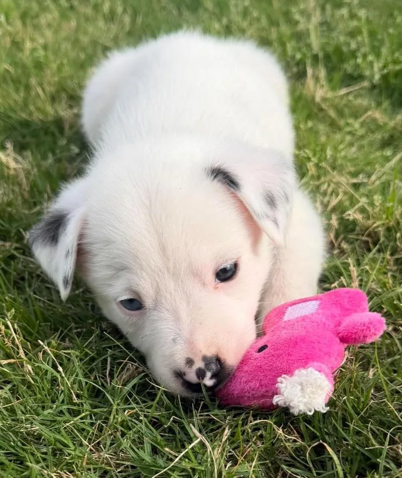 Harry Potter thumbnail 5