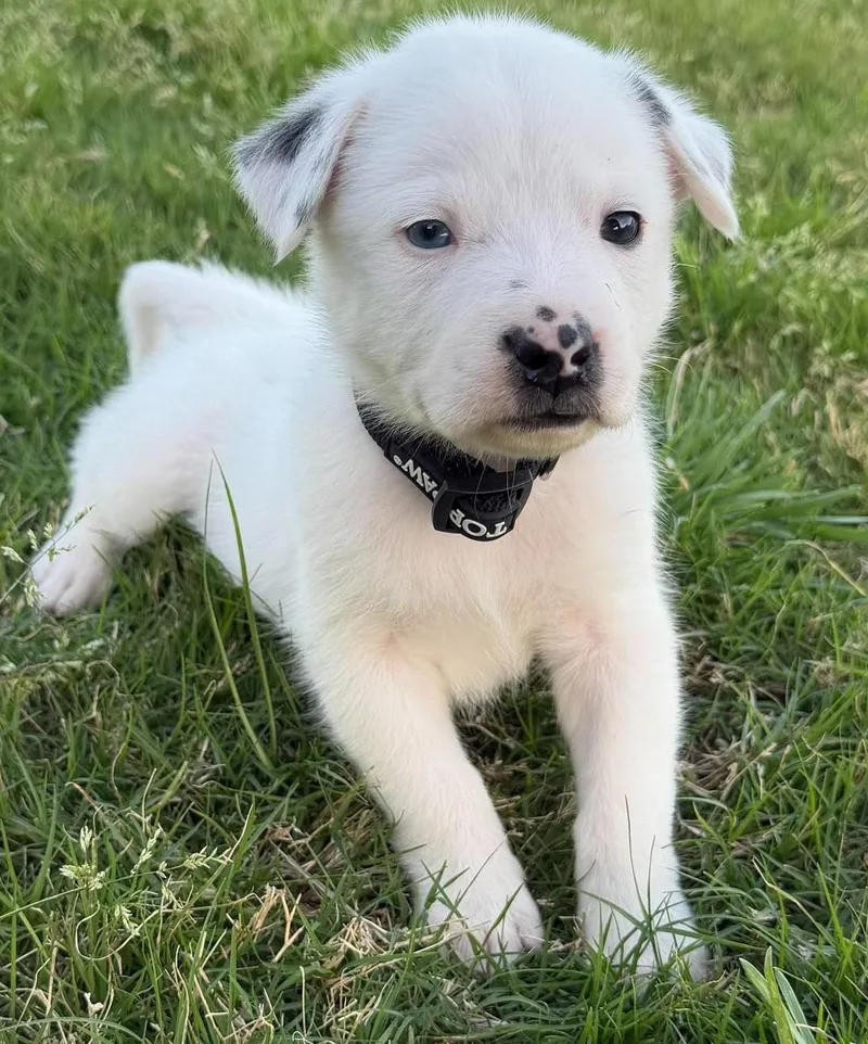 Harry Potter thumbnail 6