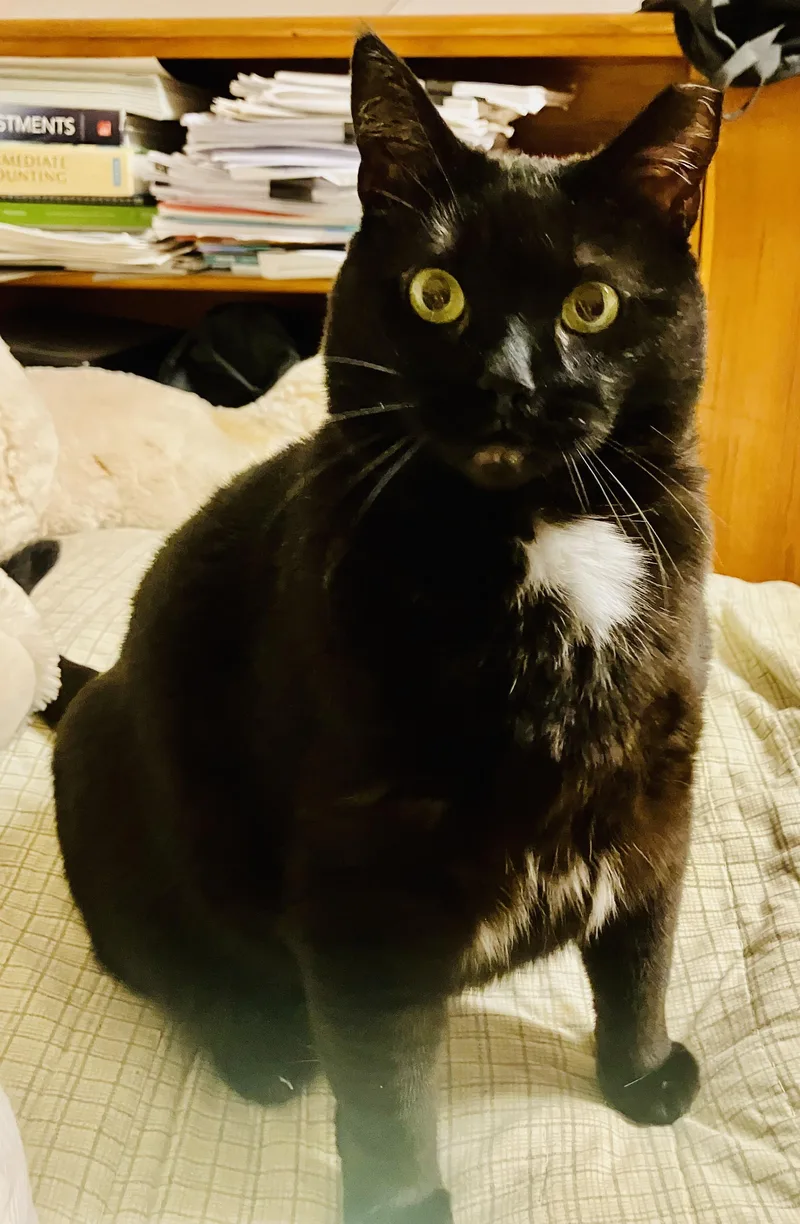 Cleo & Sons thumbnail 4