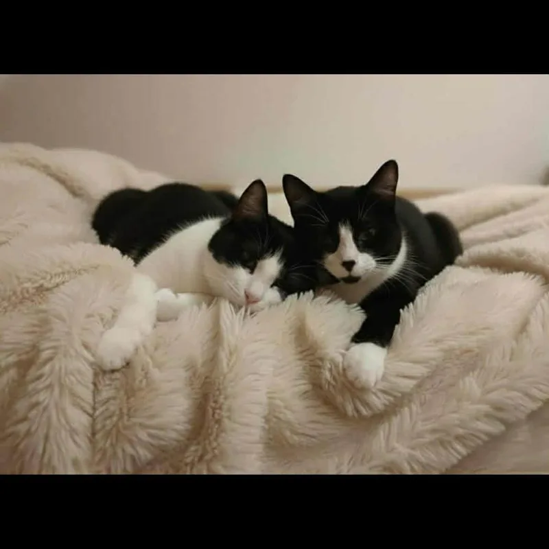 Holly & Kris @ thumbnail 2