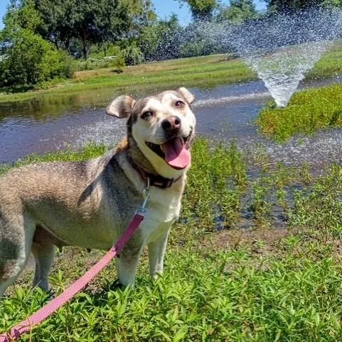 Sunny  Calm  thumbnail 3