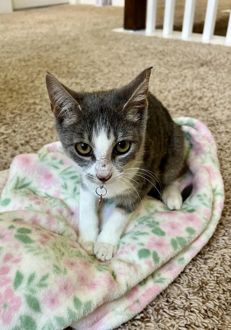 Peaches   weeks thumbnail 3