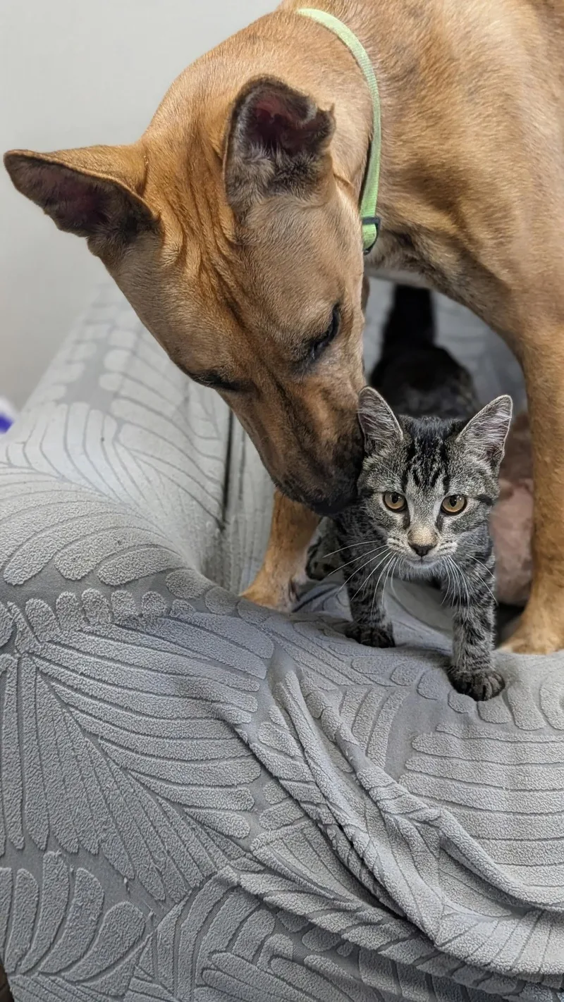 Milo