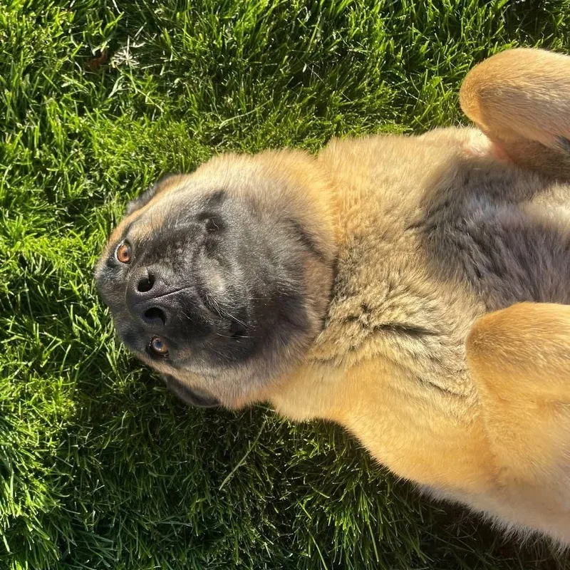 Helen Shepard thumbnail 2