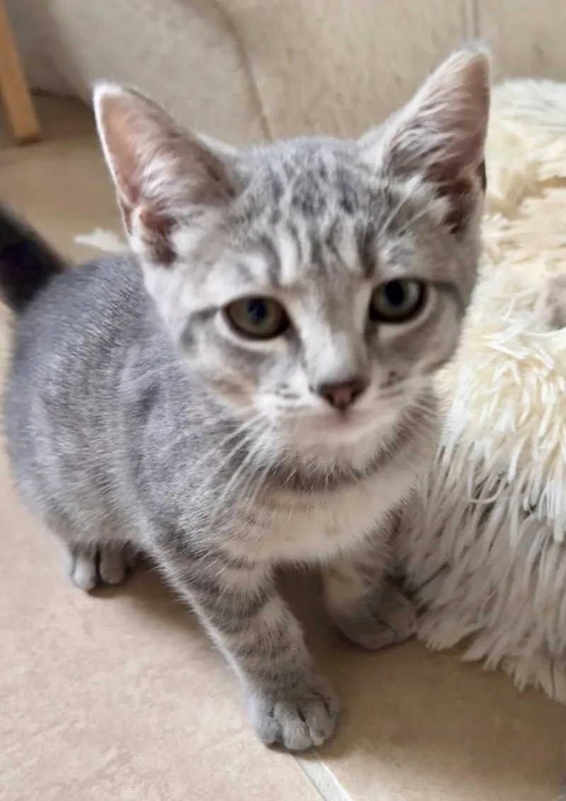 Minnie thumbnail 3