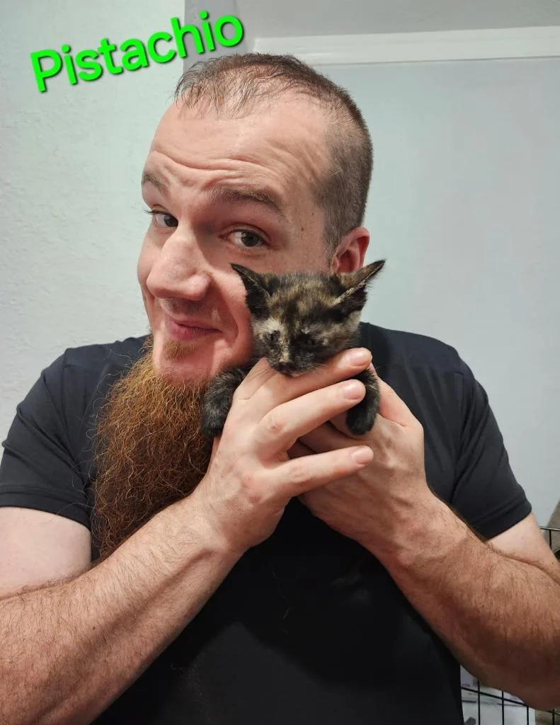 Pistachio thumbnail 4