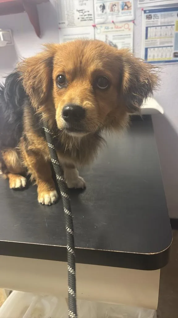 Manwhich thumbnail 2