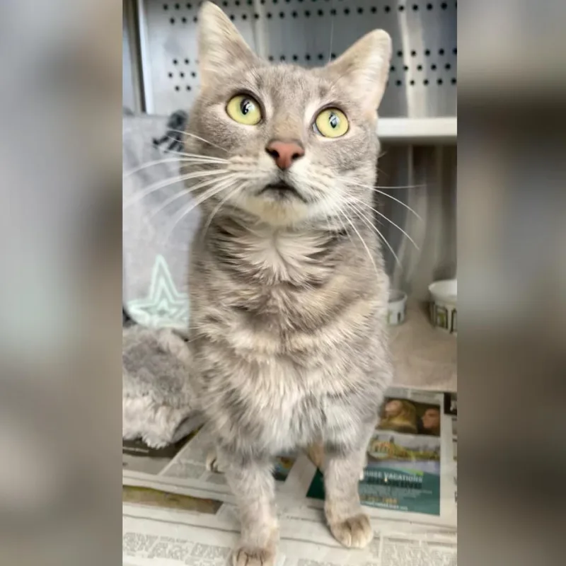 Dew Drop thumbnail 2