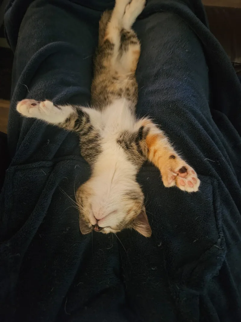 Ms. Beans thumbnail 3