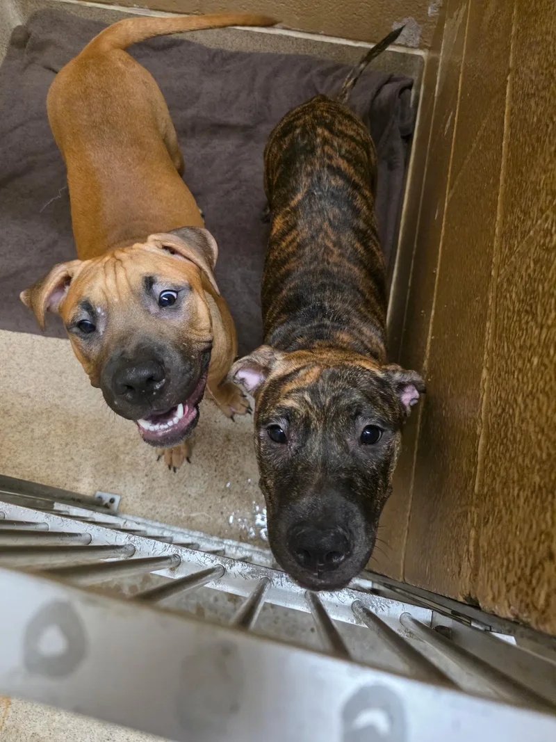 John Cusack thumbnail 5