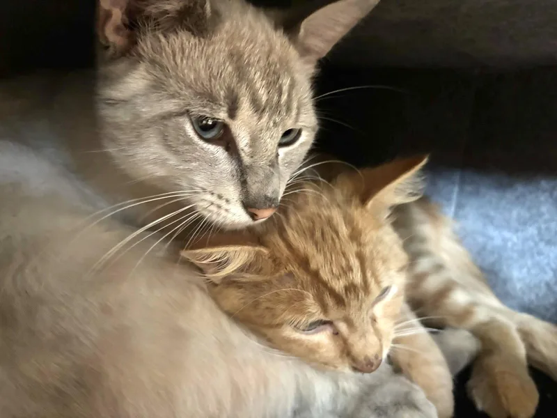 Minnie and Ghost thumbnail 2