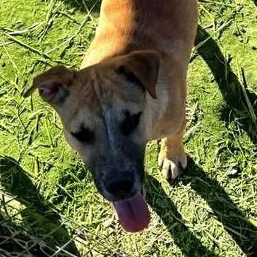 Mr. Tiny thumbnail 2