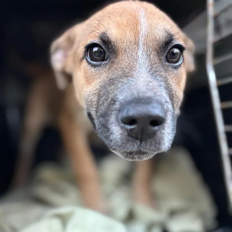 Mr. Tiny thumbnail 4