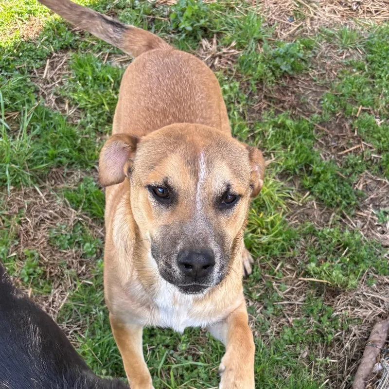 Mr. Tiny thumbnail 5