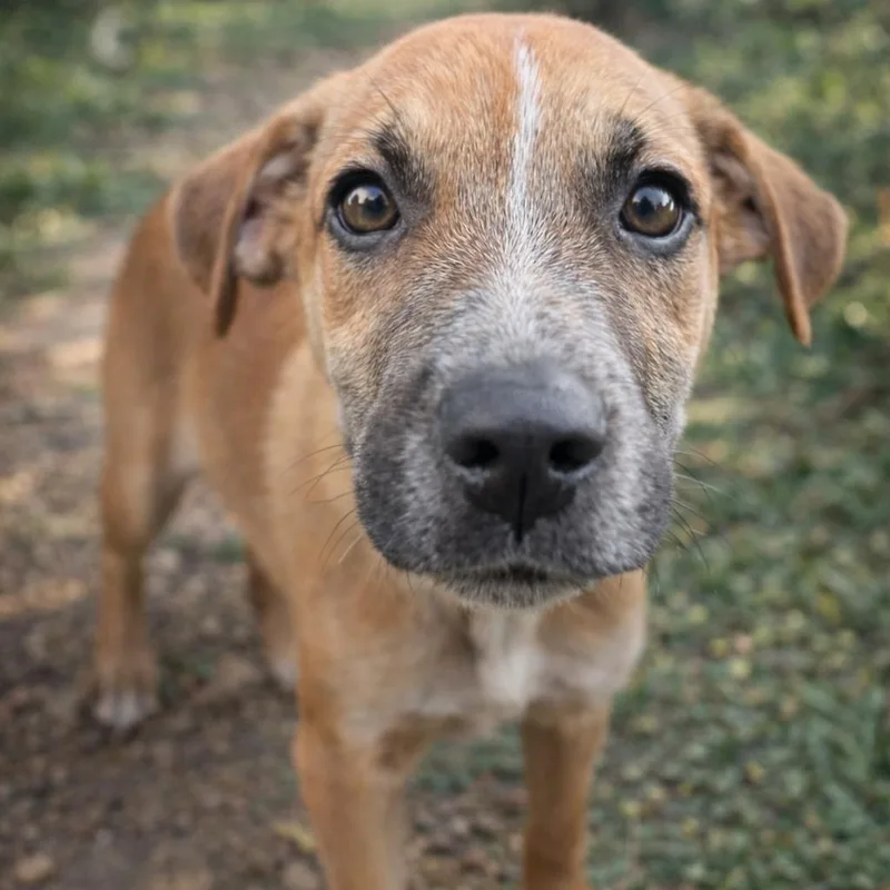 Mr. Tiny thumbnail 6