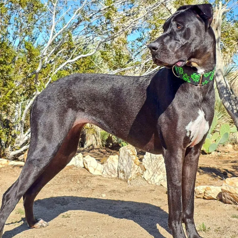 Lois Lane thumbnail 2