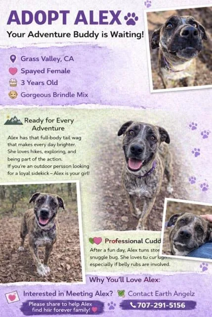 Courtesy Listing Alex