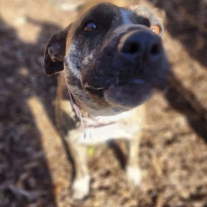 Courtesy Listing Alex thumbnail 2