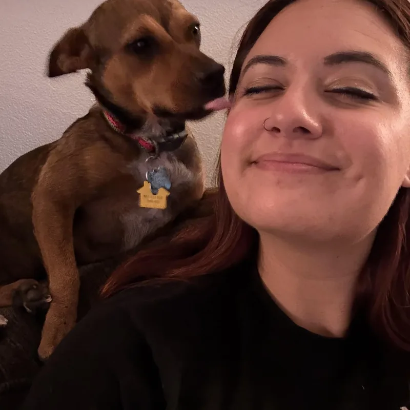 Lottie thumbnail 4