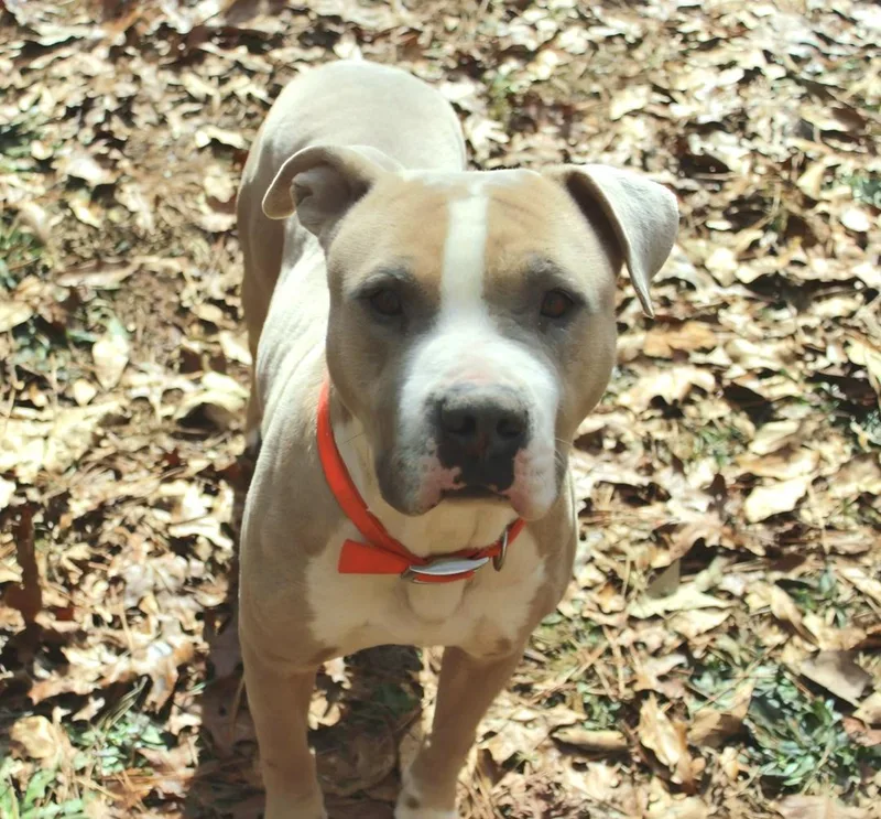 Mikey Miko thumbnail 2