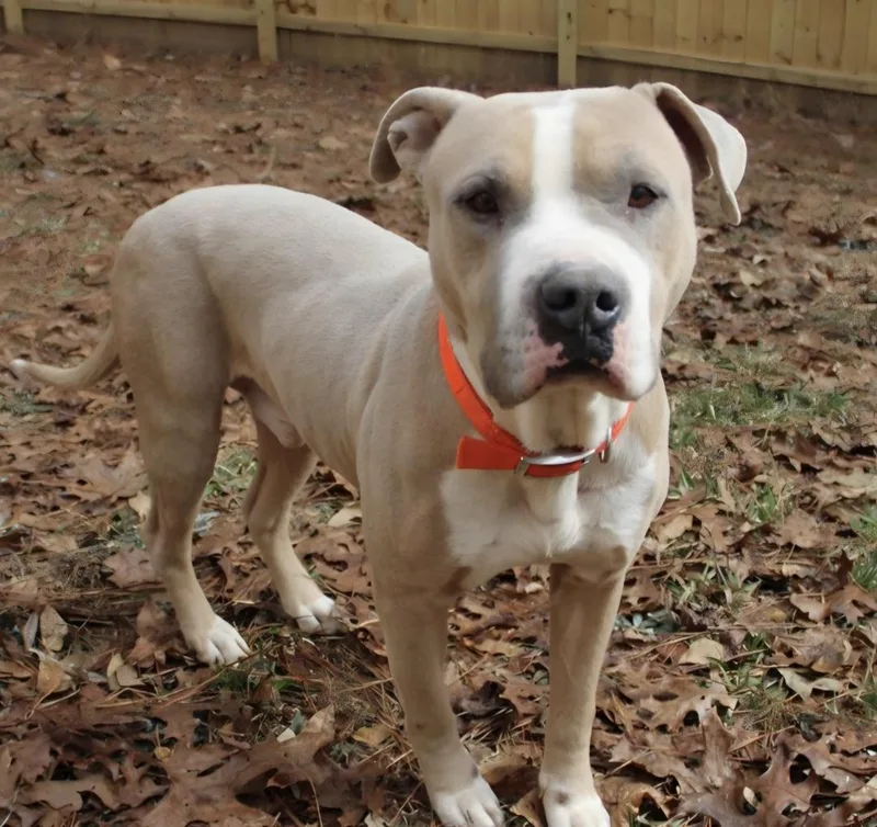 Mikey Miko thumbnail 3