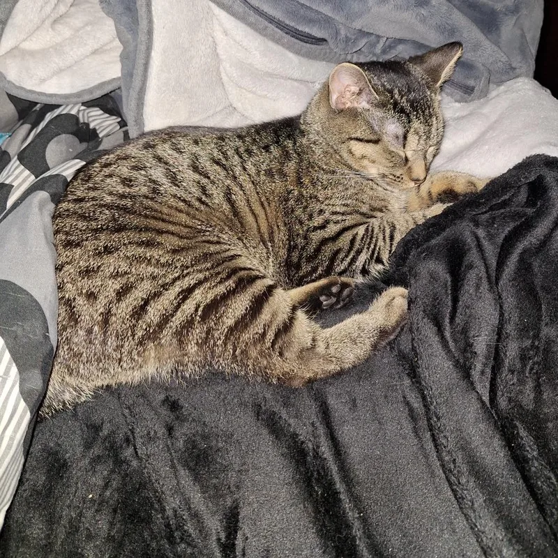 Princess Chloe thumbnail 2