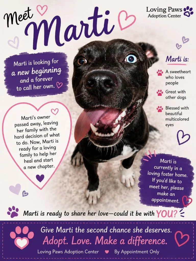 A baby small-sized female Mixed Breed dog named Marti for adoption in Crocker, MO