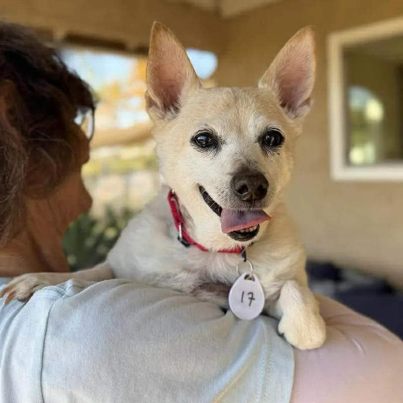 Oliver Shane thumbnail 2