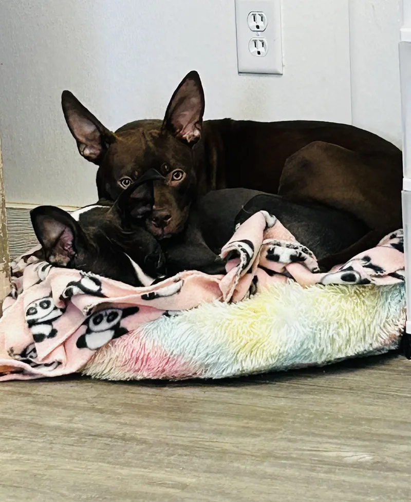 Matilda And Eleanor thumbnail 3